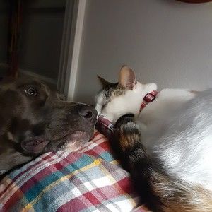 Meet your Posher, Janet